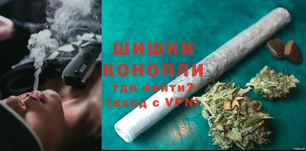 индика Богданович