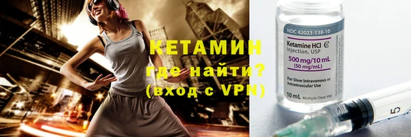 индика Богданович