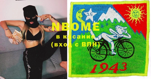 индика Богданович