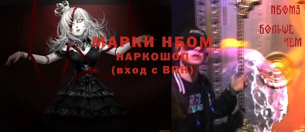 соль ск Богородицк