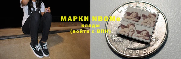 индика Богданович
