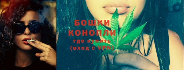 индика Богданович