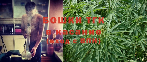индика Богданович