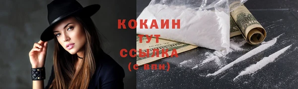кокс Бородино