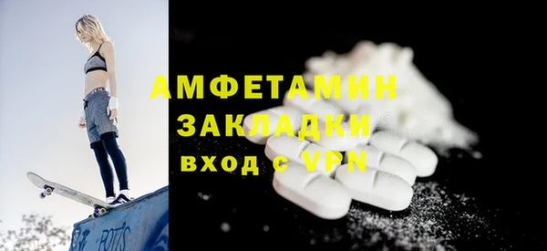 индика Богданович