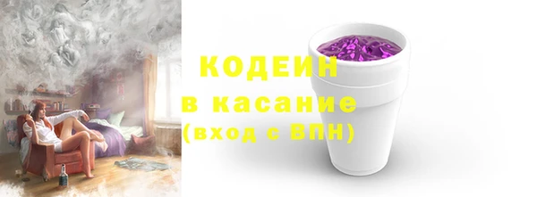 индика Богданович