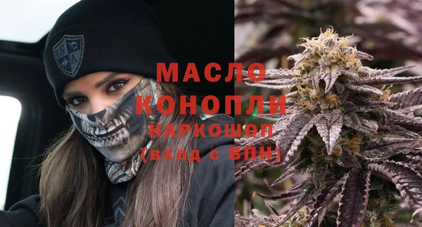 индика Богданович