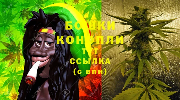 индика Богданович
