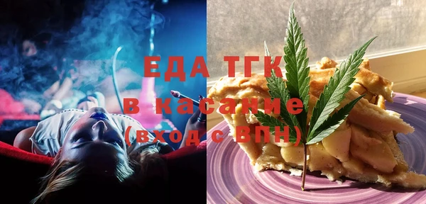 индика Богданович