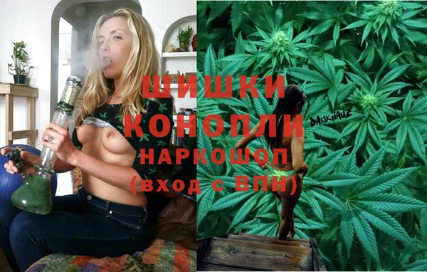 индика Богданович