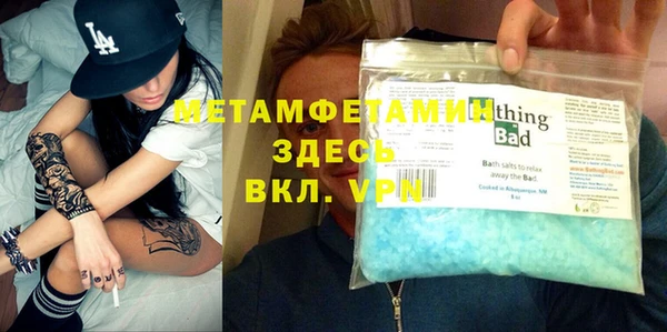 индика Богданович