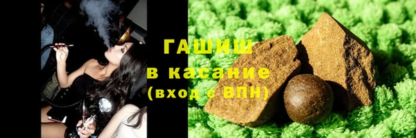 индика Богданович