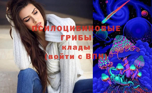 соль ск Богородицк