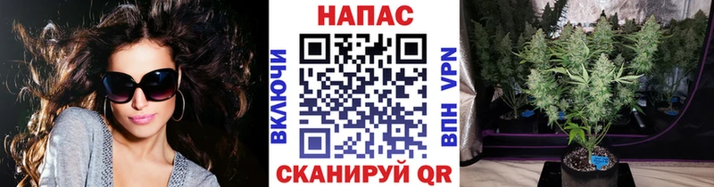 Конопля гибрид  Екатеринбург 